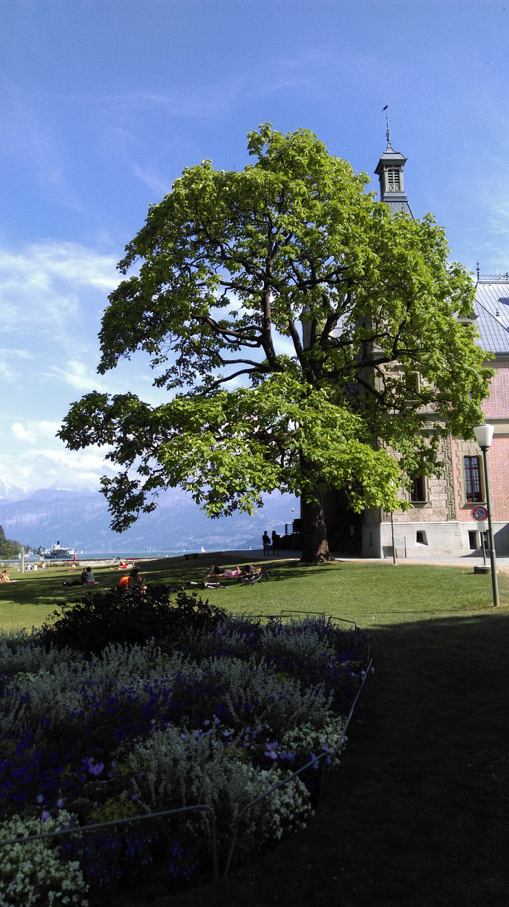 Gastronomiemuseum in Thun