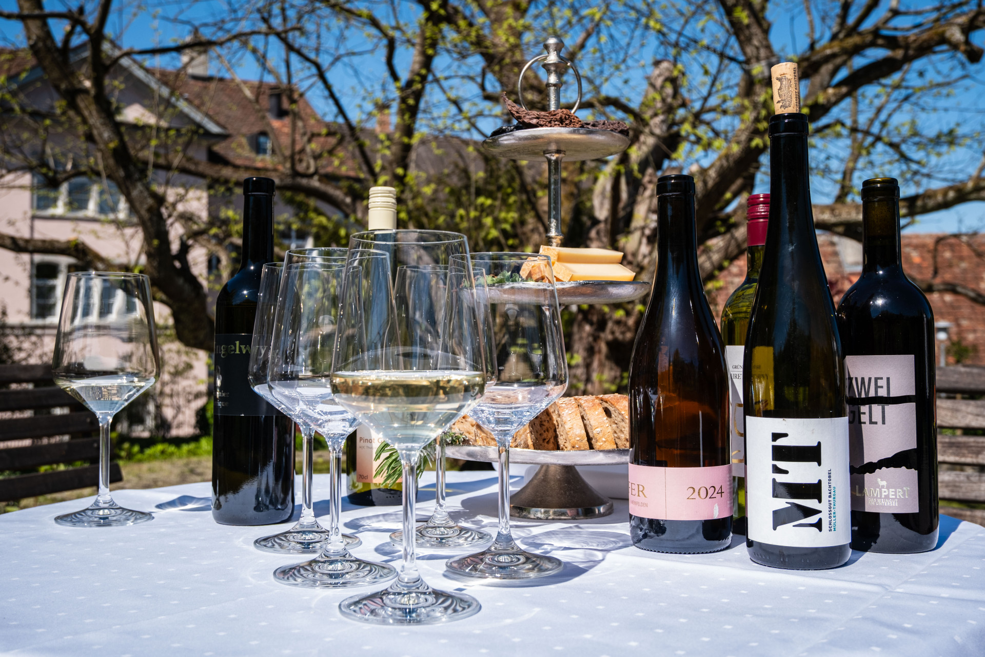 Genussvoller Spaziergang mit Wein und Geschichte in Ermatingen