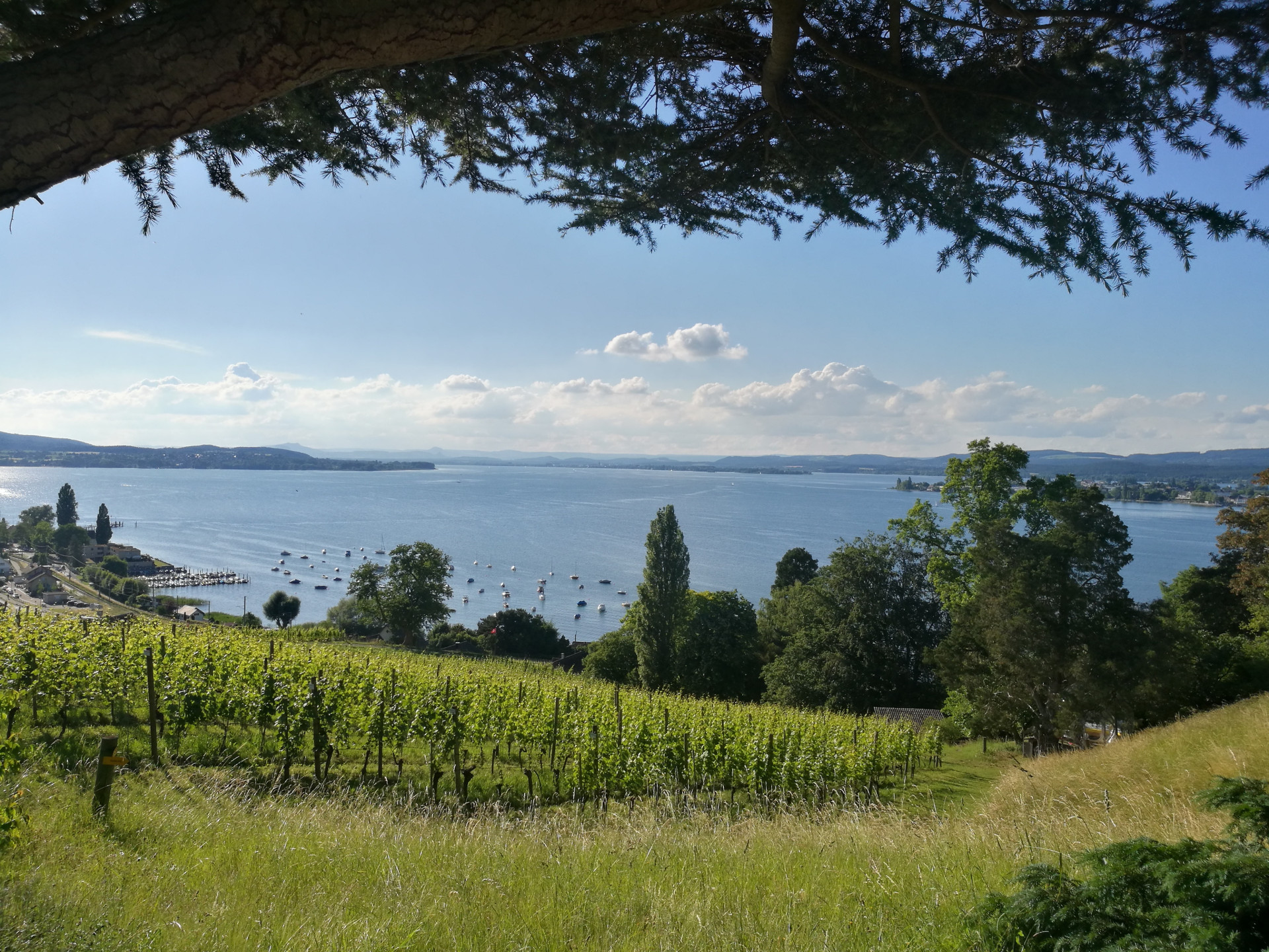 Thurgauer Erlebnisse - Kulinarik, Genuss, Wissen