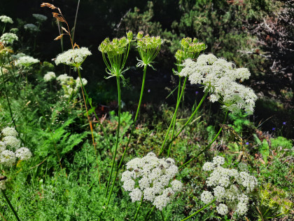 Kommende Anlässe mit GENUSSZEIT 