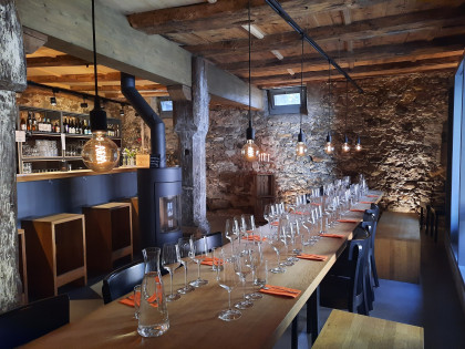 Weinerlebnisse am Bodensee, Lake Constance wine experiences