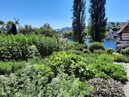 Mittwoch, 12. August 2026, Tagesausflug nach Stein am Rhein