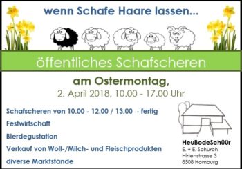 Schafe scheren am Ostermontag mit regionalen Spezialitäten