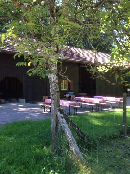 Waldfondue mit Weindegustation / Fondue and wine tasting in the woods