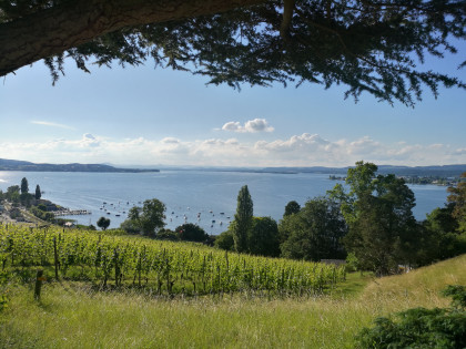 Thurgauer Erlebnisse - Kulinarik, Genuss, Wissen