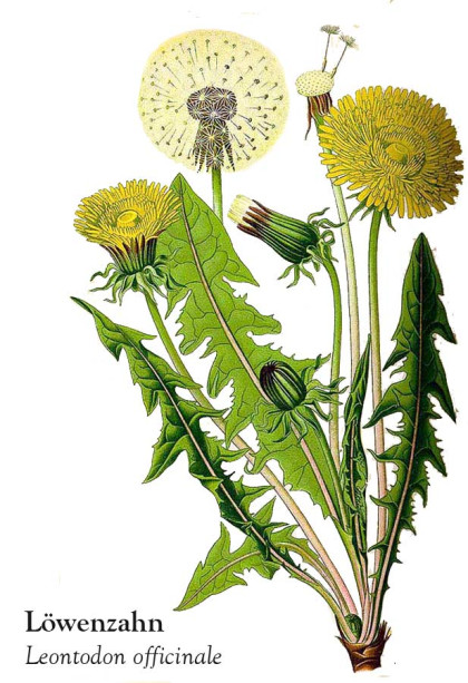 Kommende Anlässe mit GENUSSZEIT